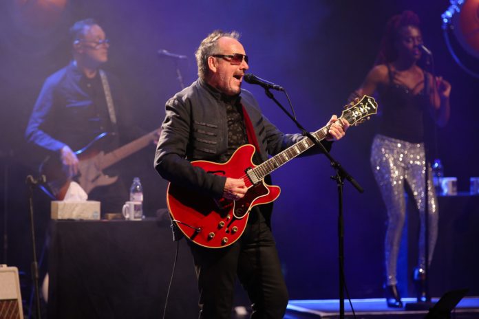 Elvis Costello Shares a Statement After Being Awarded an O.B.E