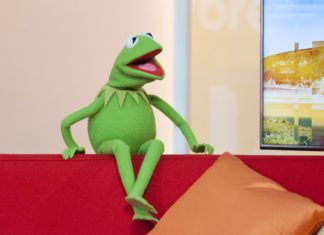 A Surprise at Newport Folk Festival 2019: Kermit the Frog
