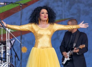 Diana Ross Confirmed for Glastonbury’s 2020 Legends Slot